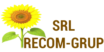 SRL-RECOM-GRUP Logo